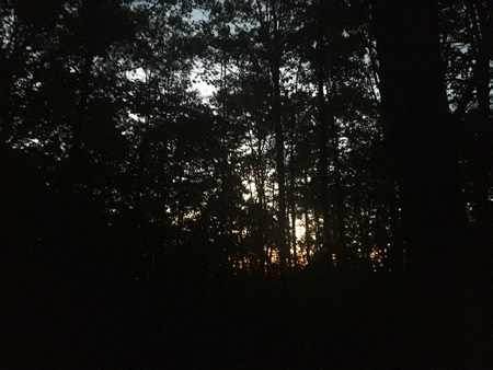 View of the sky at night