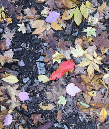 There's always a spot of red.