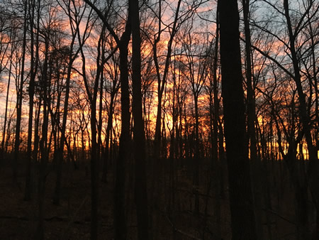 December sunset