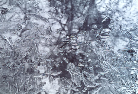 photo 2 of Sock's Frog Pond