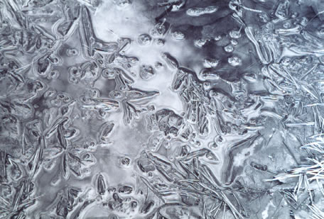 photo 5 of Sock's Frog Pond