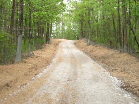 View of 2010 work on well road.