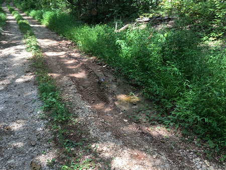 2025 photograph of well road condition.