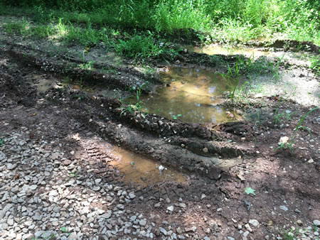 2025 photograph of well road condition.