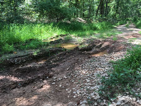 2025 photograph of well road condition.