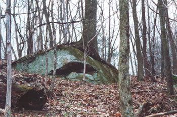 photo of large stone and tree